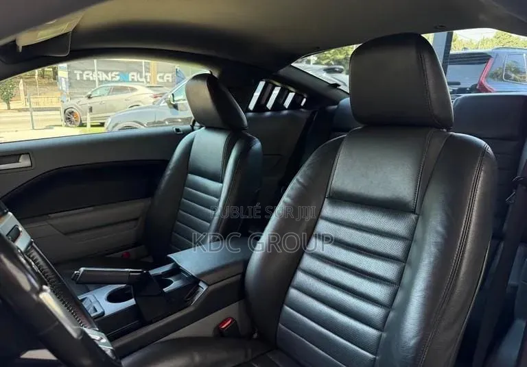 Ford Mustang 2007 Gris