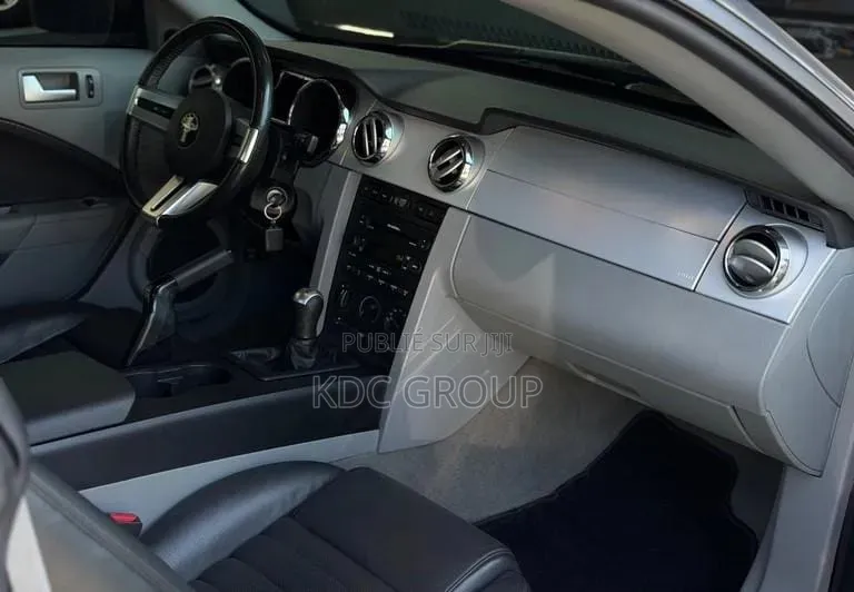 Ford Mustang 2007 Gris