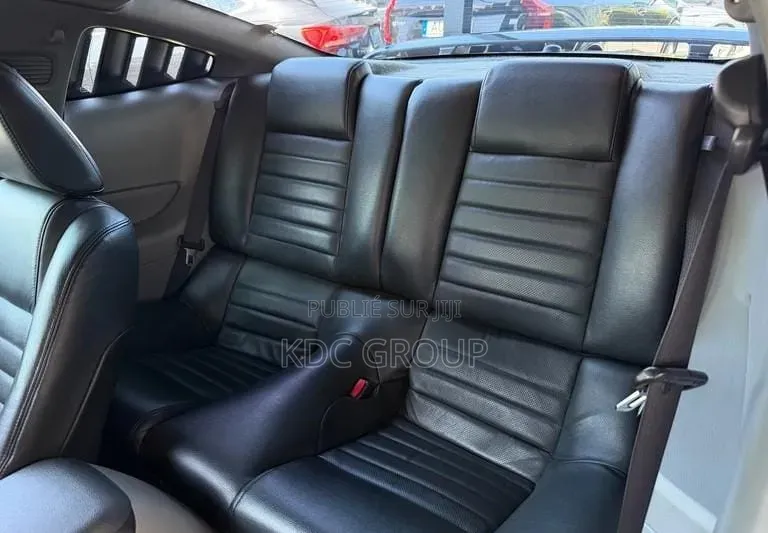 Ford Mustang 2007 Gris