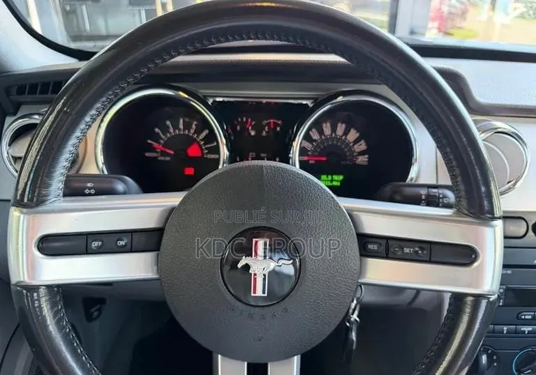 Ford Mustang 2007 Gris