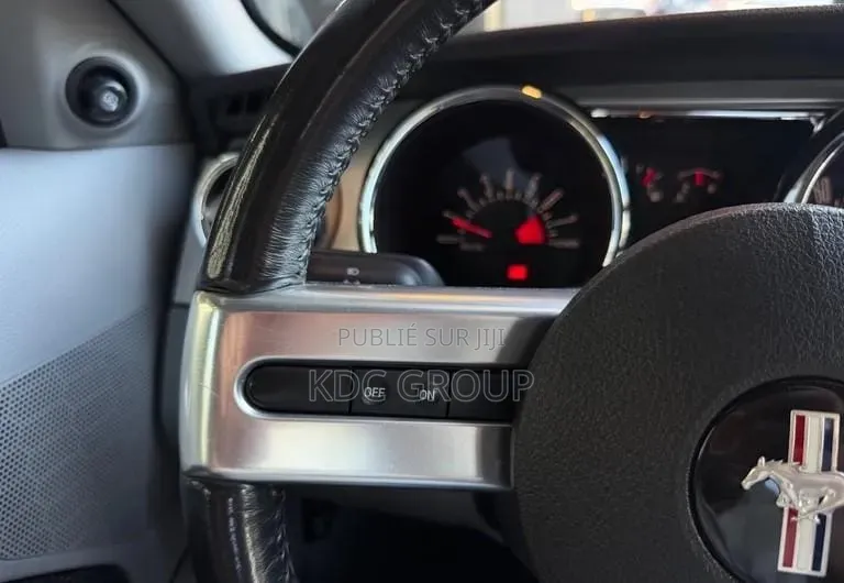 Ford Mustang 2007 Gris