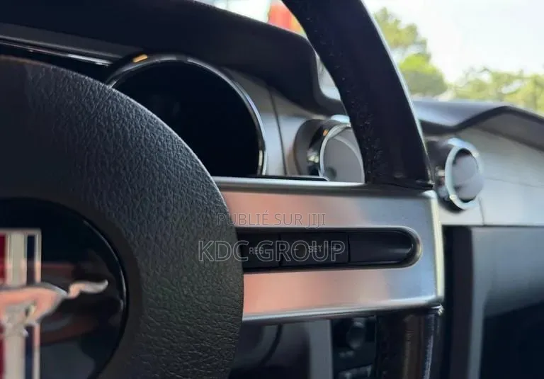 Ford Mustang 2007 Gris