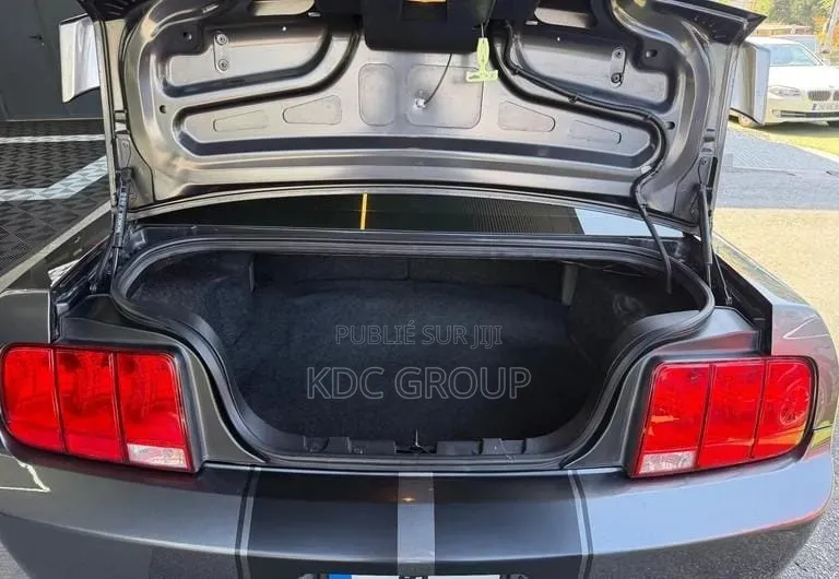 Ford Mustang 2007 Gris