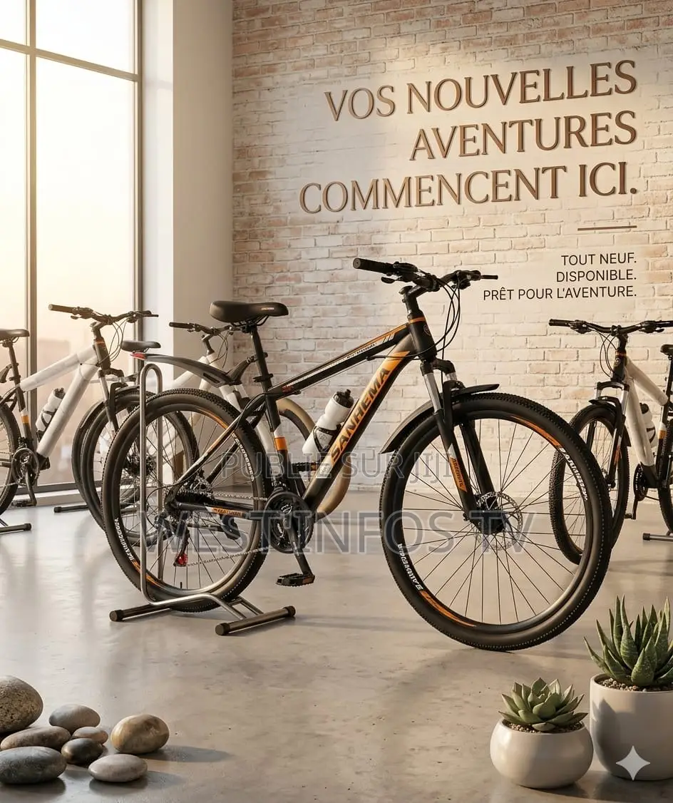 Vélo VTT 29