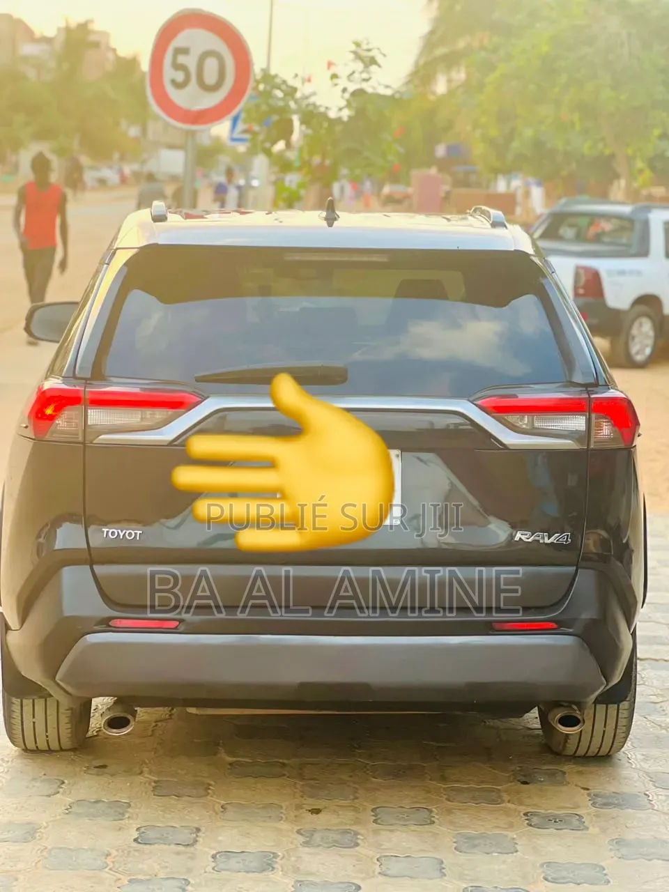 Toyota RAV4 2020 Gris