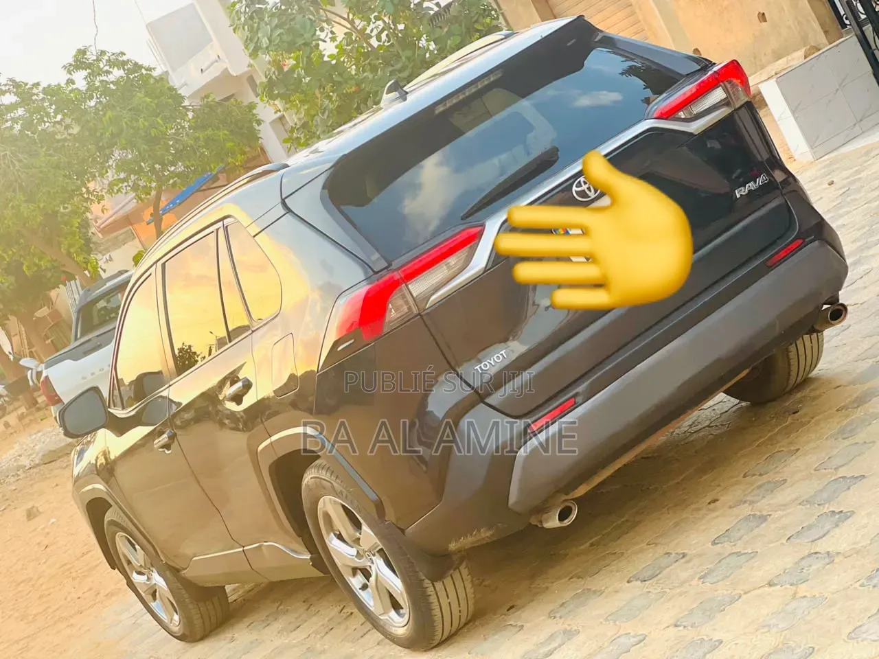 Toyota RAV4 2020 Gris