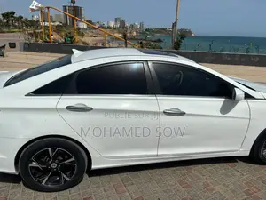 Hyundai Sonata 2010 Blanc