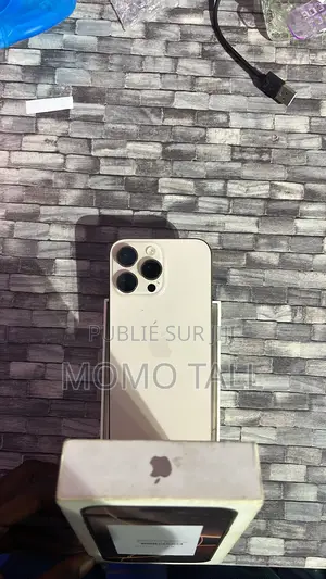 Nouveau Apple iPhone 16 Pro Max 256 GB Doré