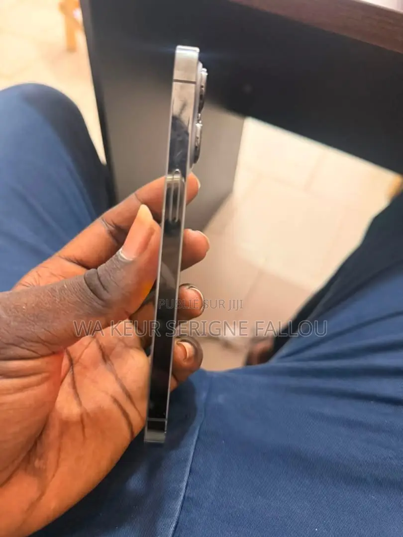 Nouveau Apple iPhone 13 Pro 256 GB Gris