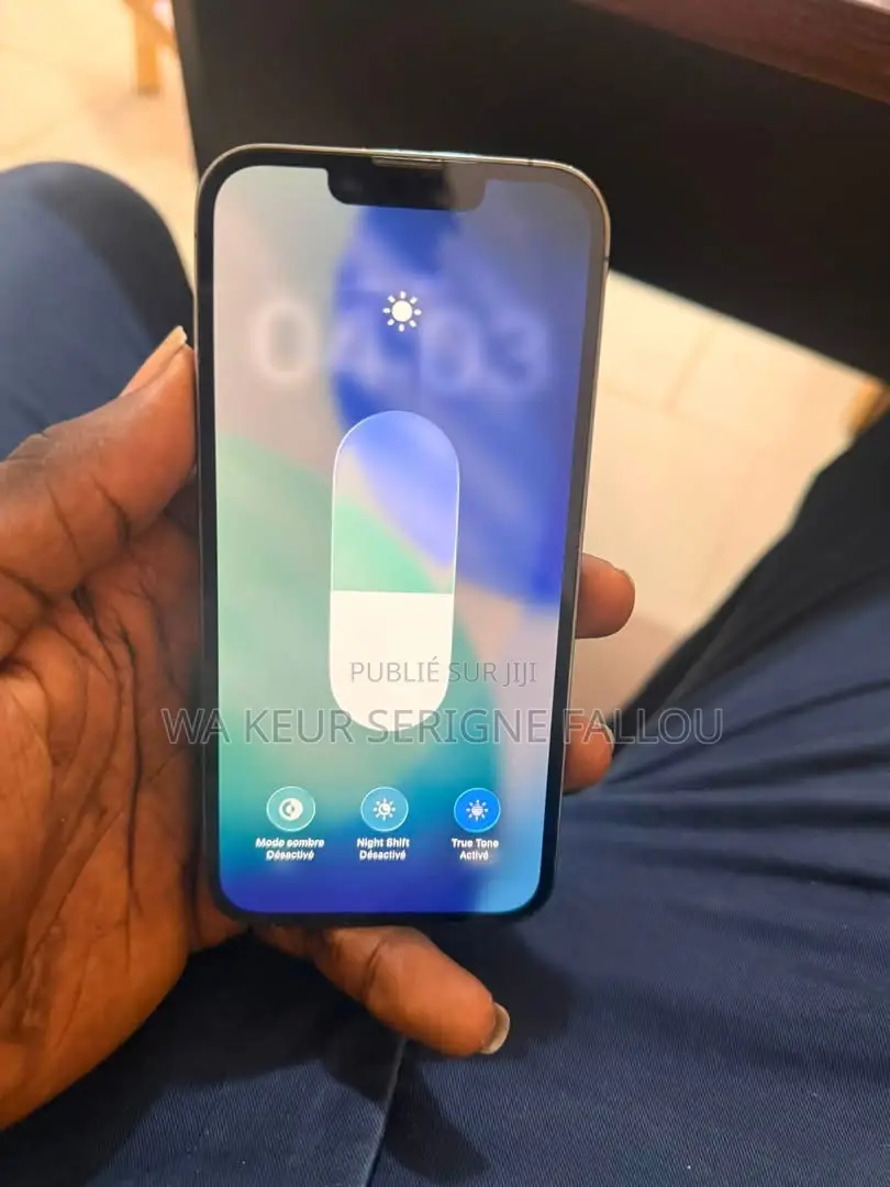 Nouveau Apple iPhone 13 Pro 256 GB Gris