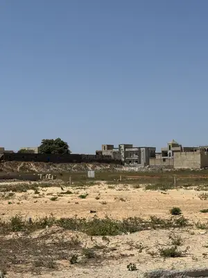 Vente De Terrain Cité Alia Keur Ndiaye Lo