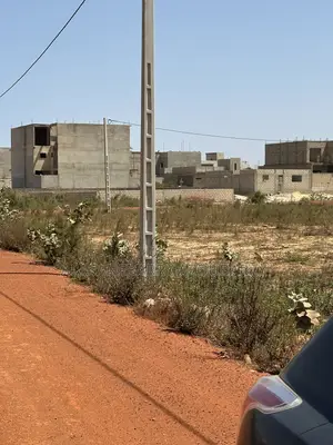 Vente De Terrain Cité Alia Keur Ndiaye Lo