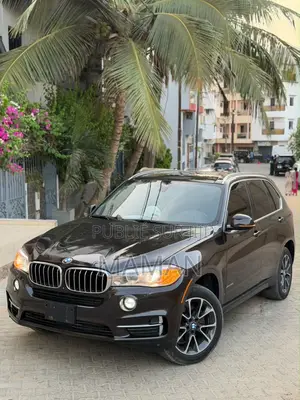 BMW X5 xDrive35d AWD 2018 Marron