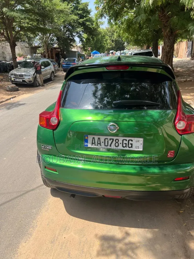 Nissan Juke 2013 Vert