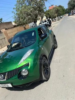 Nissan Juke 2013 Vert