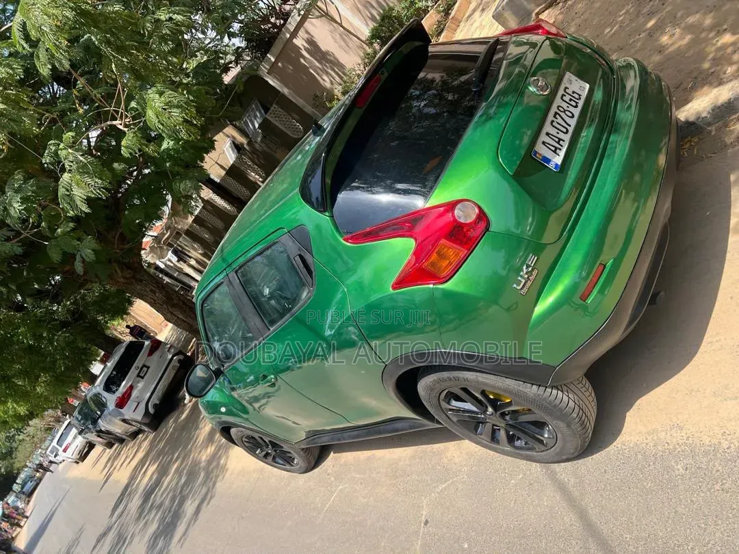 Nissan Juke 2013 Vert