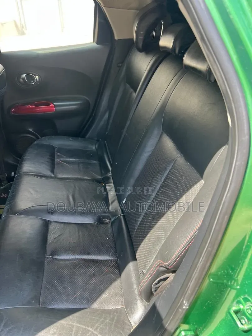 Nissan Juke 2013 Vert