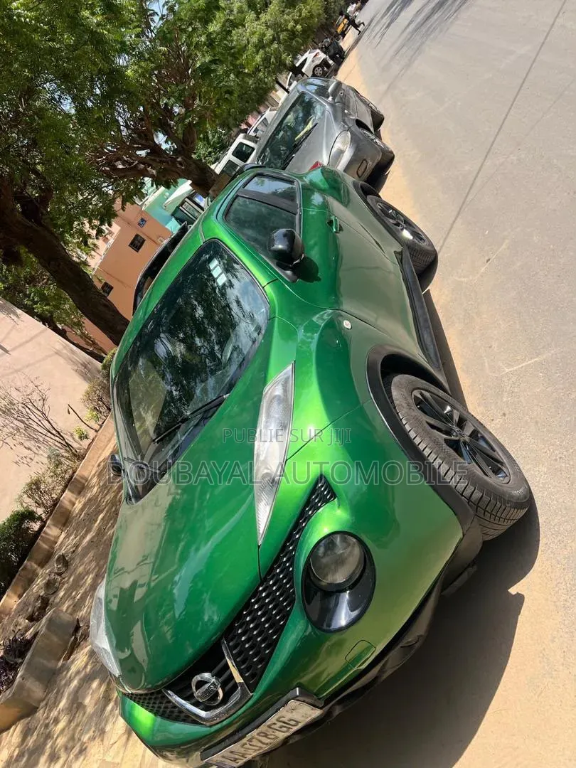 Nissan Juke 2013 Vert