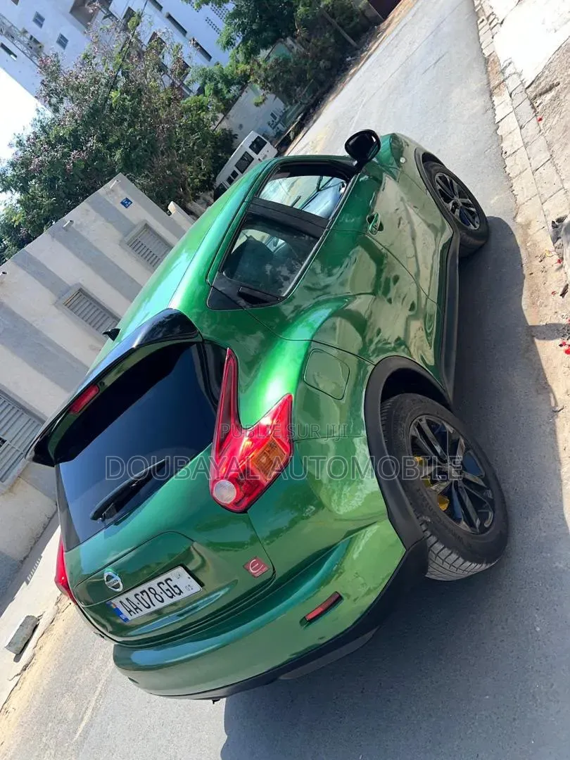 Nissan Juke 2013 Vert