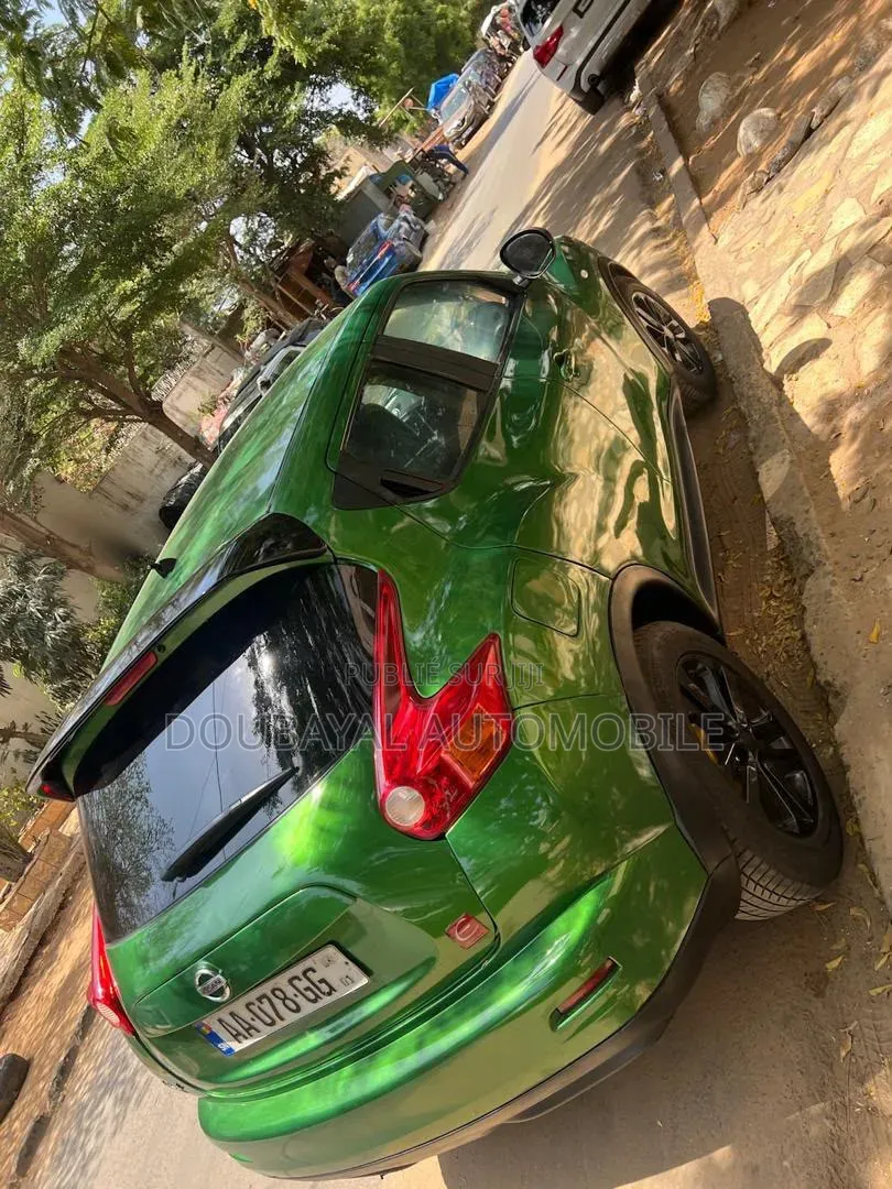 Nissan Juke 2013 Vert