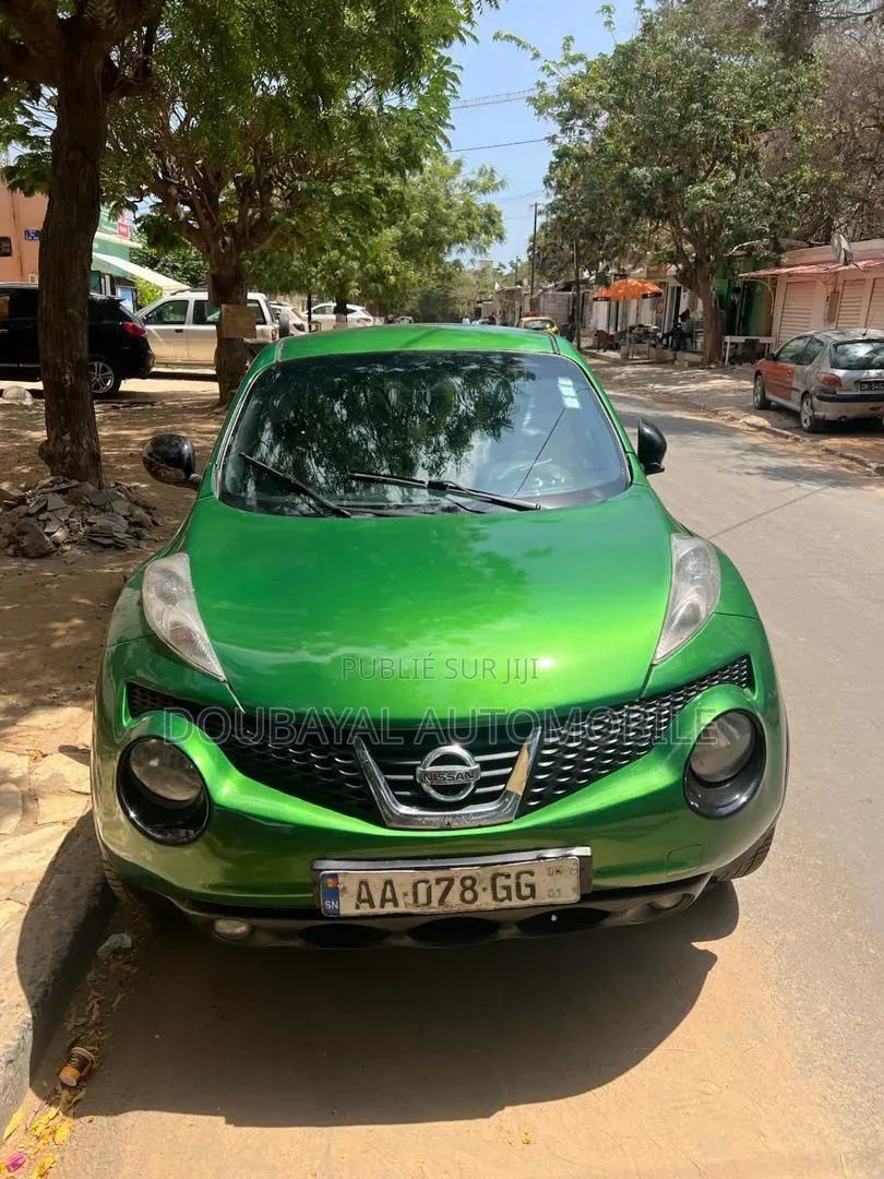 Nissan Juke 2013 Vert