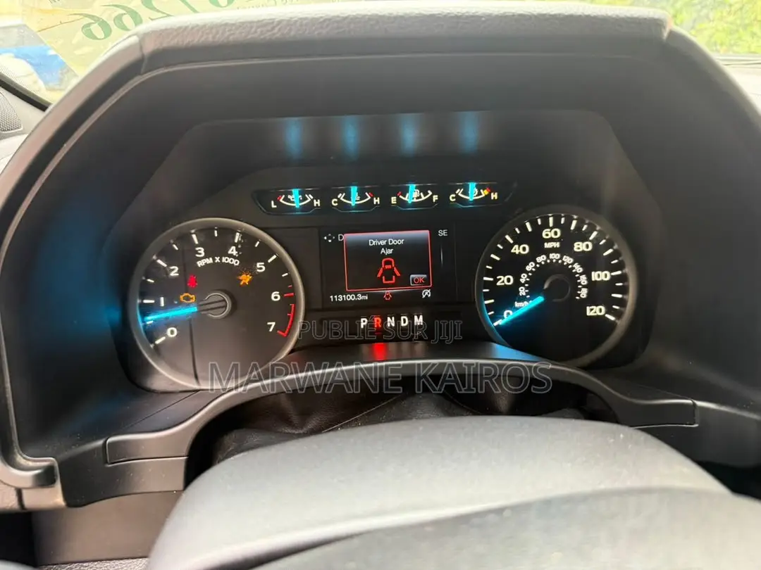 Ford F-150 2019 Autre