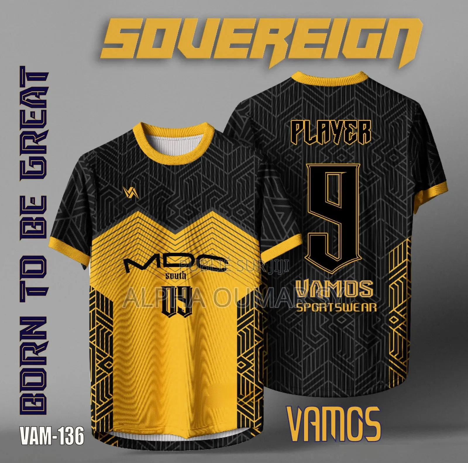Vamos Business