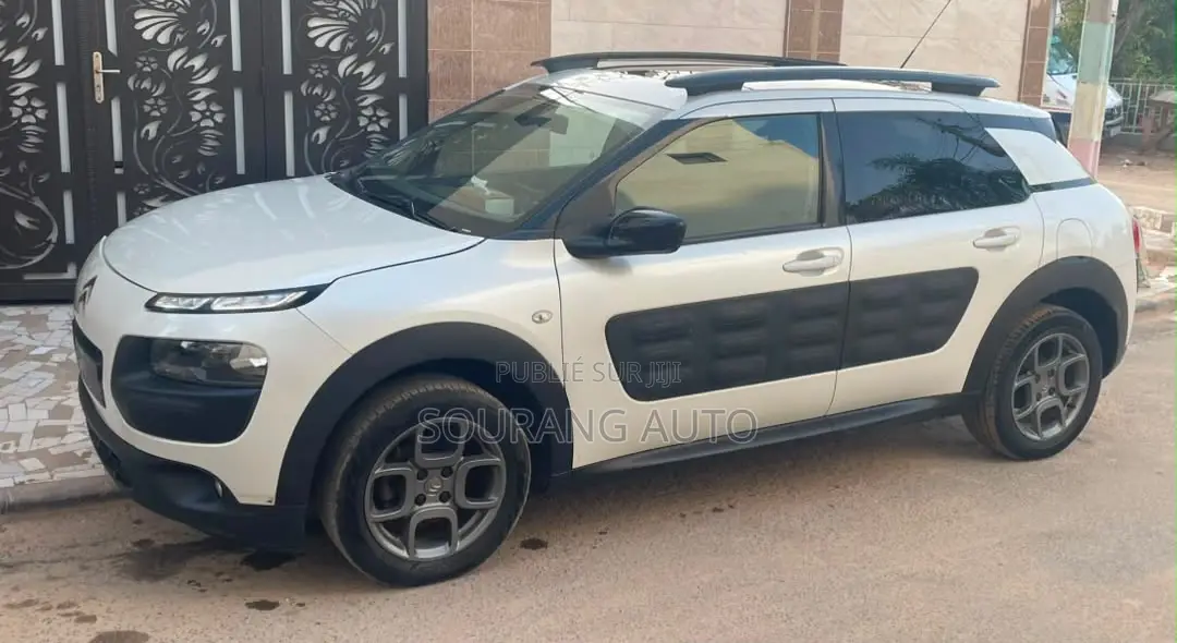 Citroen C4 2017 Gris