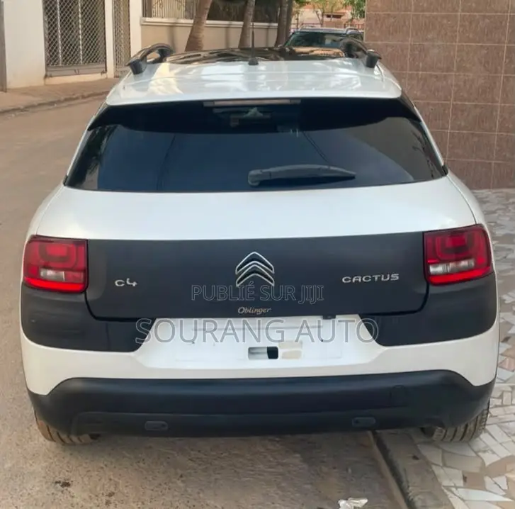 Citroen C4 2017 Gris