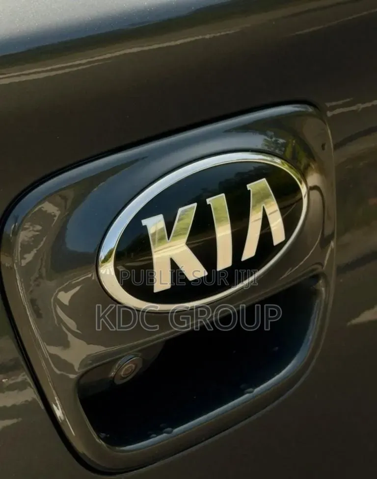 Kia Rio 2017 Gris
