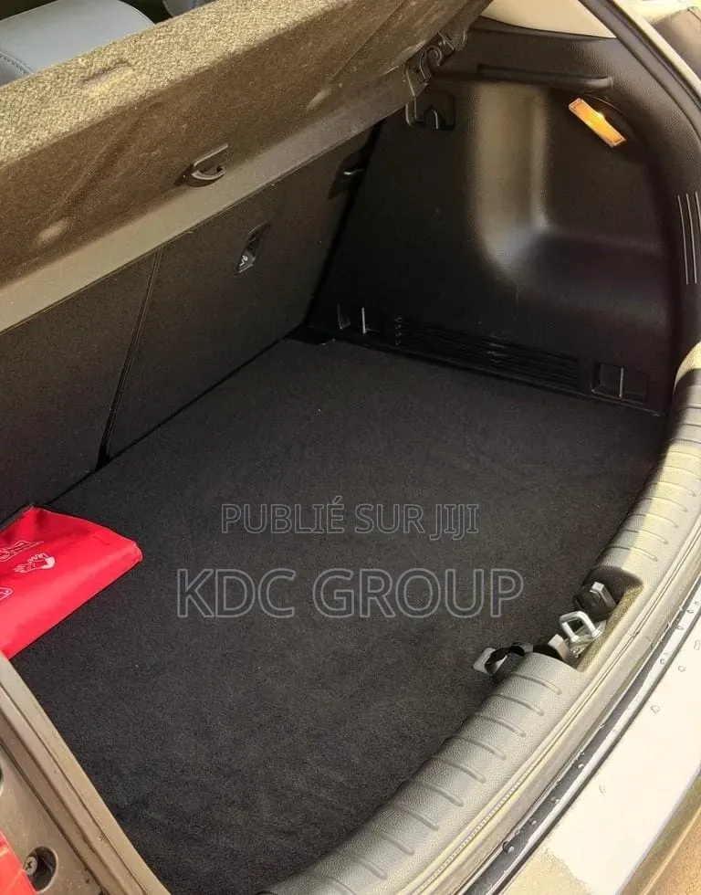 Kia Rio 2017 Gris