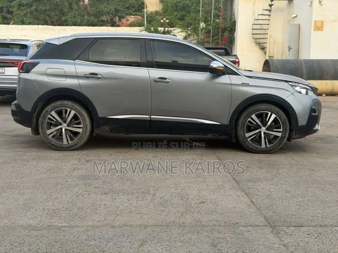 Peugeot 3008 2019 Gris