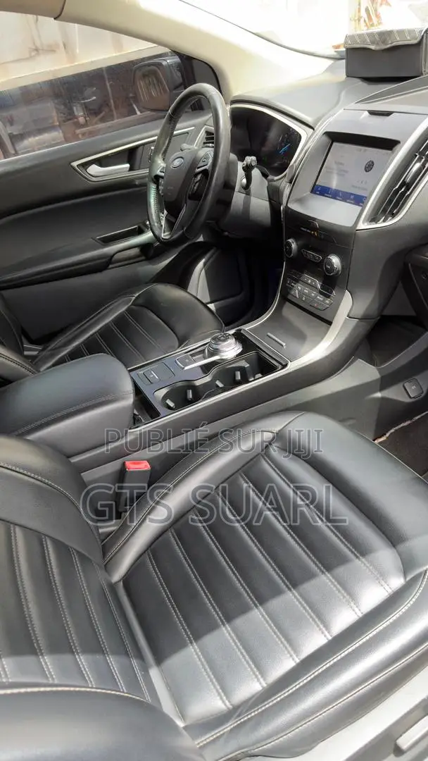 Ford Edge 2020 Gris