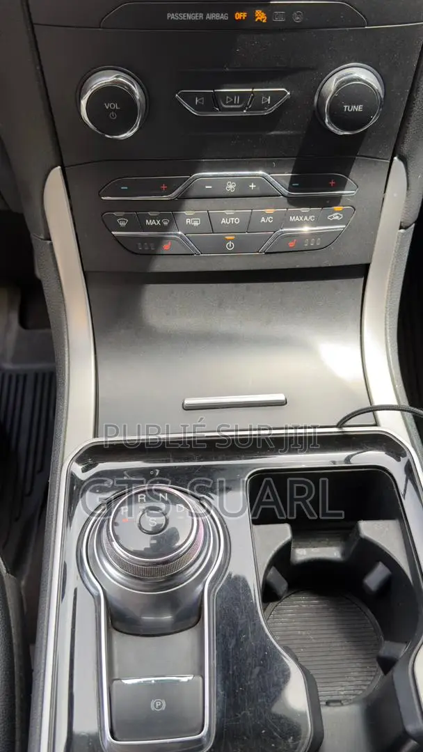 Ford Edge 2020 Gris