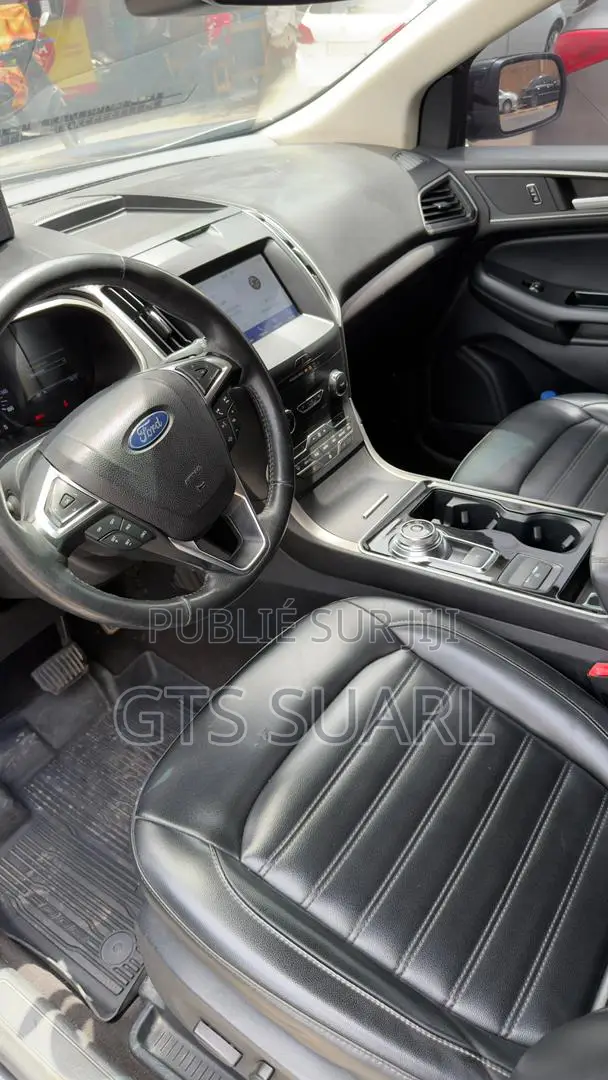 Ford Edge 2020 Gris