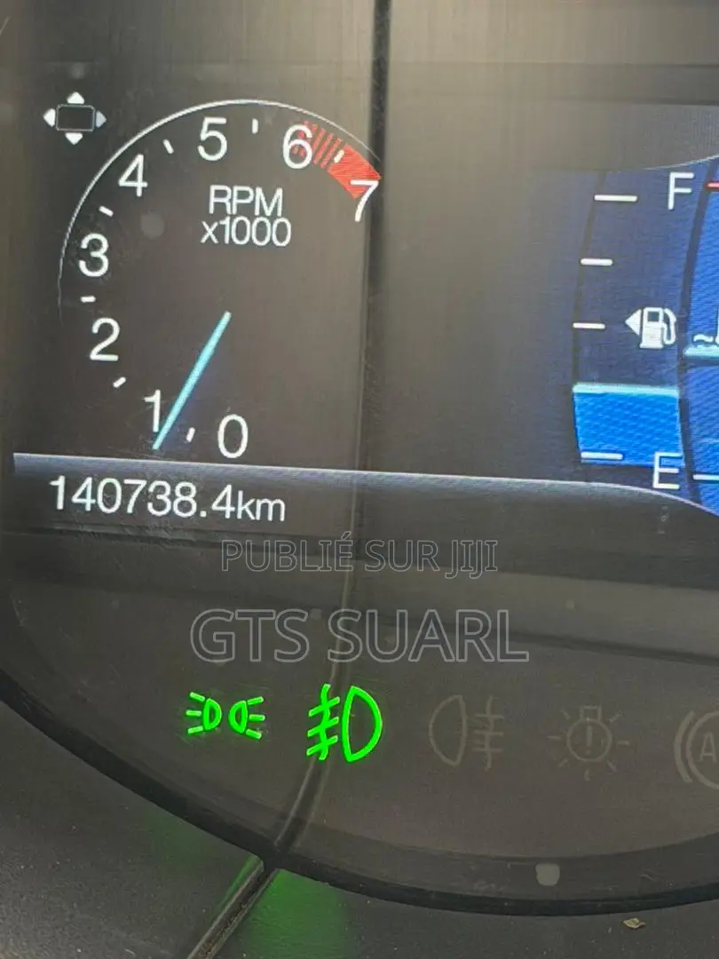 Ford Edge 2020 Gris