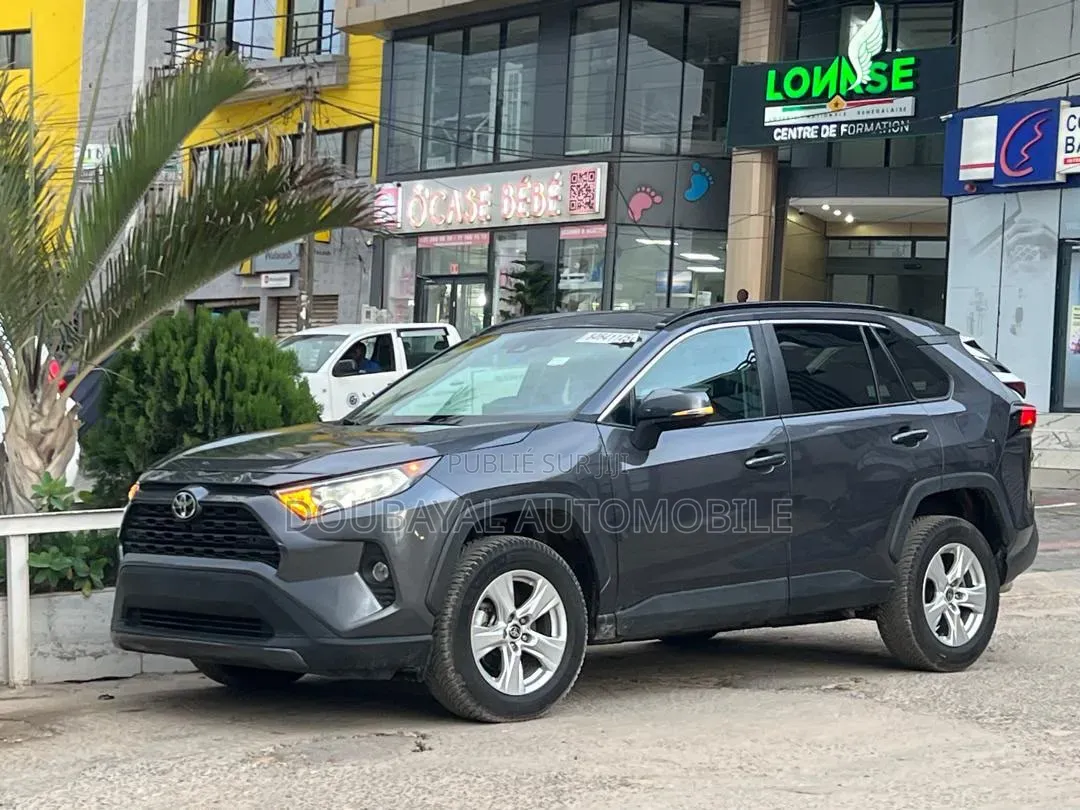 Toyota RAV4 2021 Gris