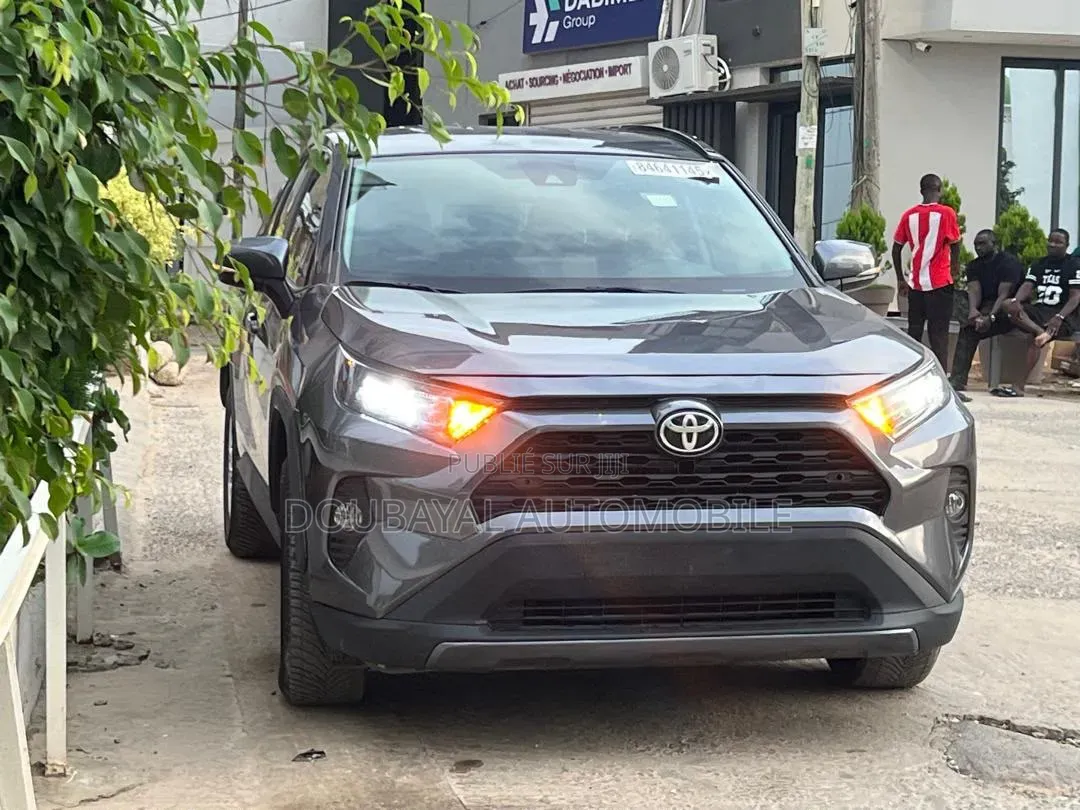 Toyota RAV4 2021 Gris