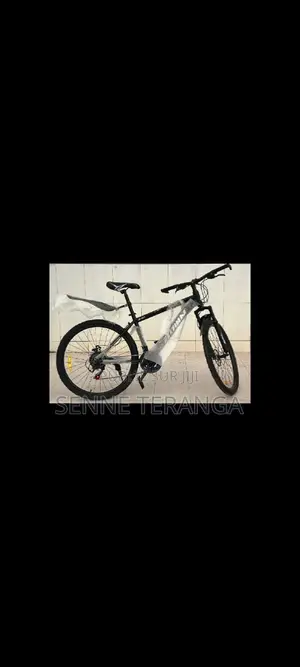 Bonjour Je Vous Présente Nouvelle Arrivage De Vélo