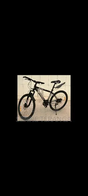 Bonjour Je Vous Présente Nouvelle Arrivage De Vélo