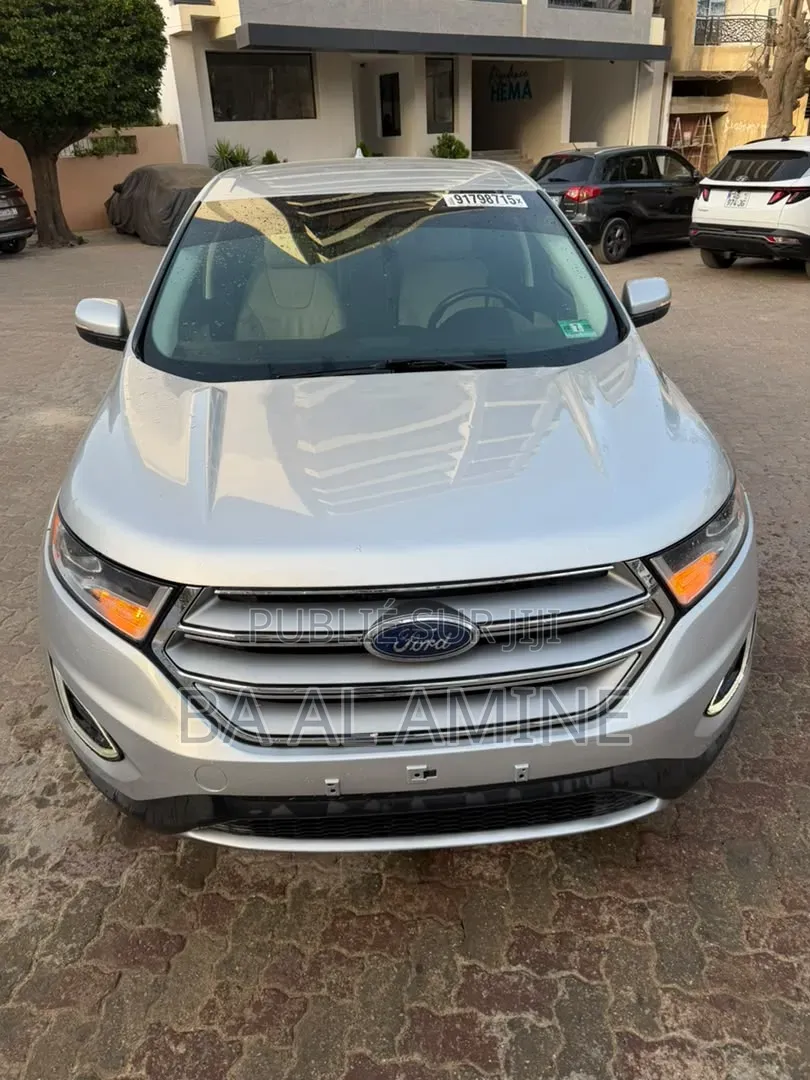 Ford Edge 2018 Gris