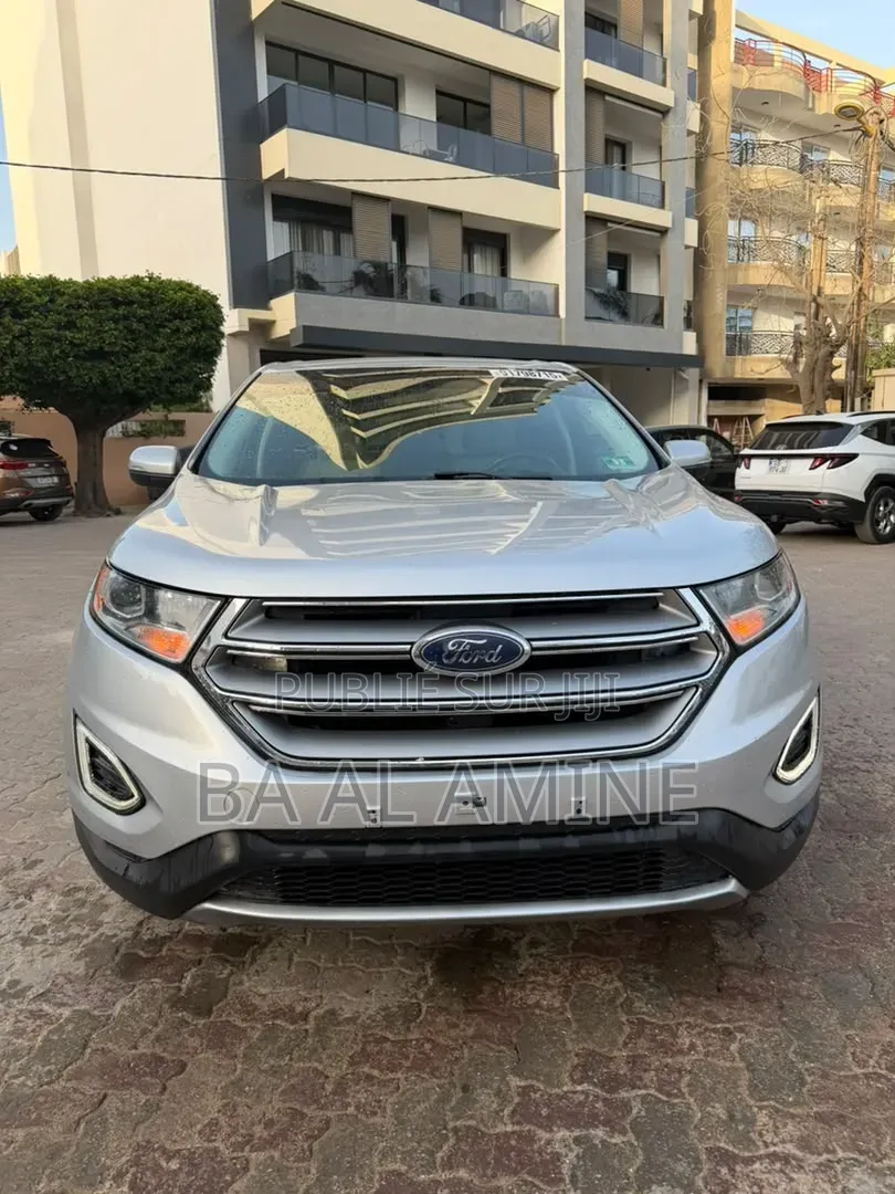 Ford Edge 2018 Gris
