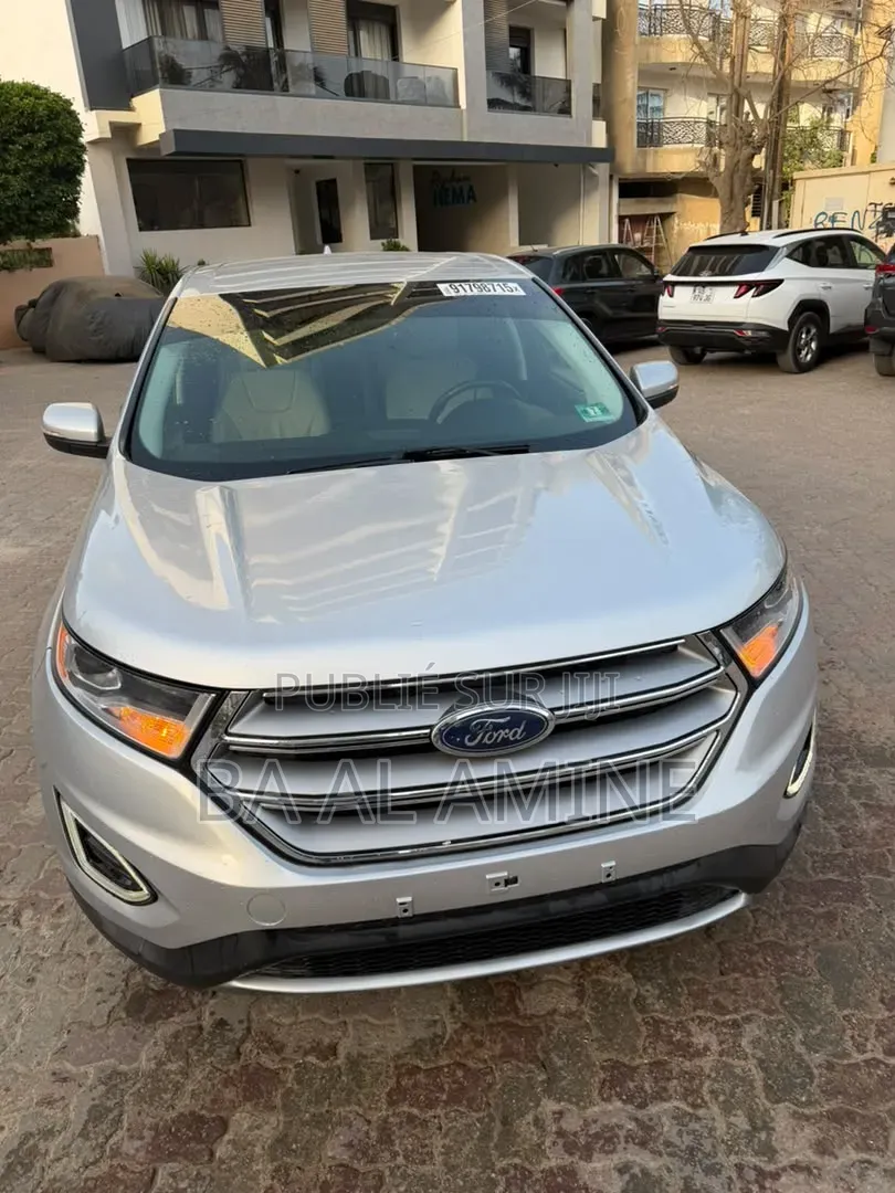 Ford Edge 2018 Gris