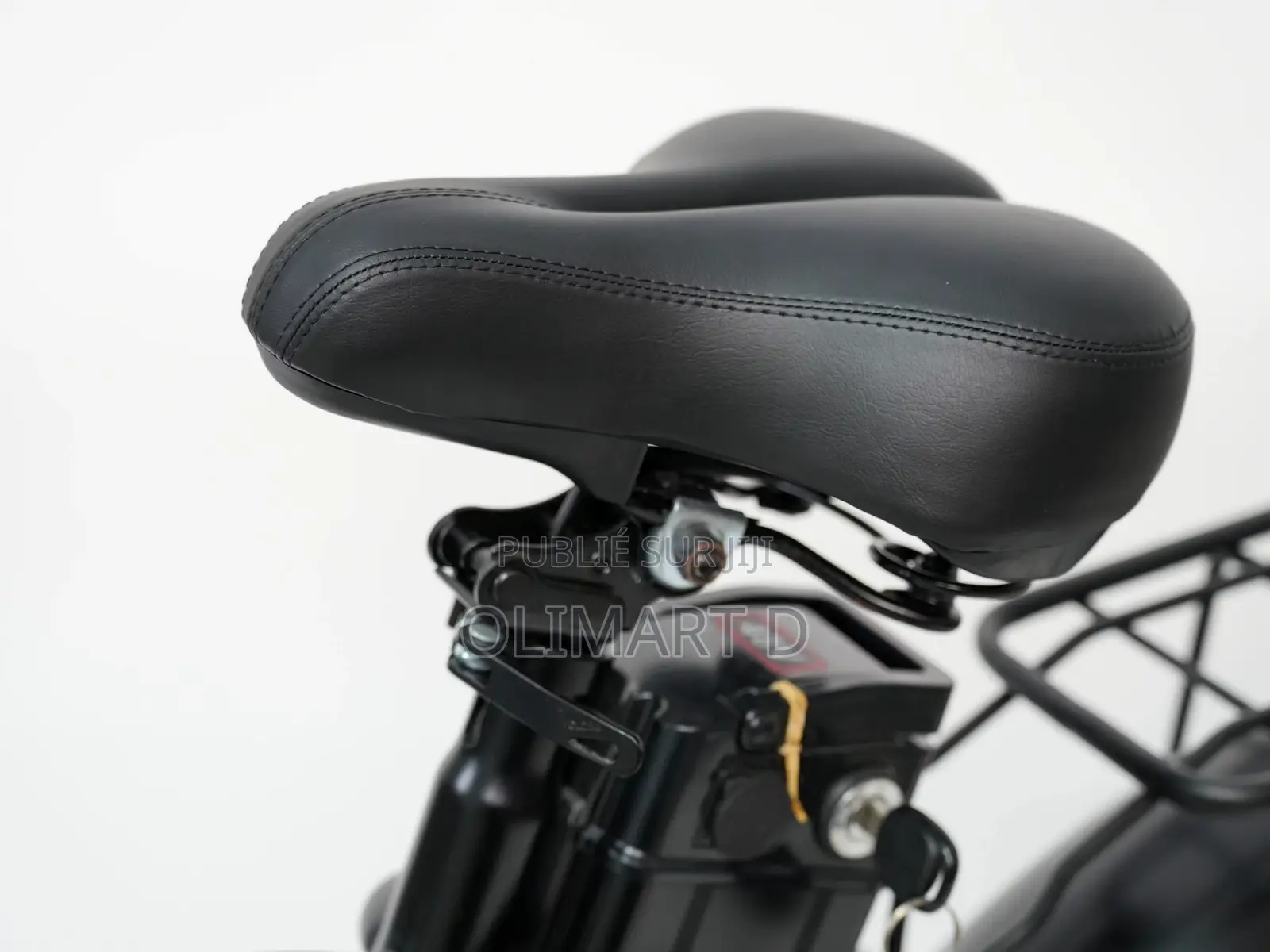 Vélo Électrique 20 Pouces Fat Bike