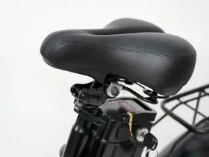 Vélo Électrique 20 Pouces Fat Bike