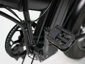 Vélo Électrique 20 Pouces Fat Bike