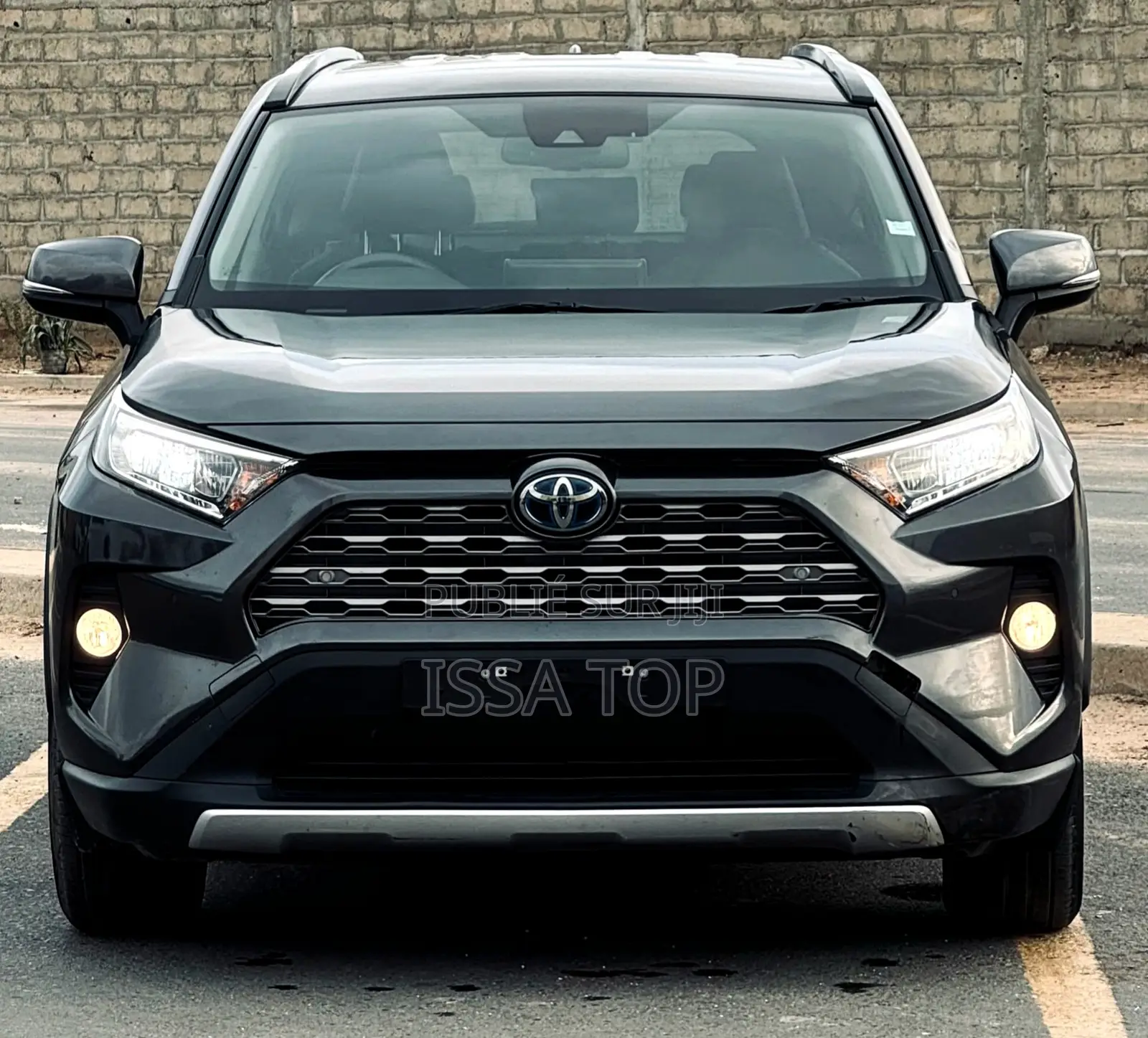 Toyota RAV4 Hybrid 2022 Gris