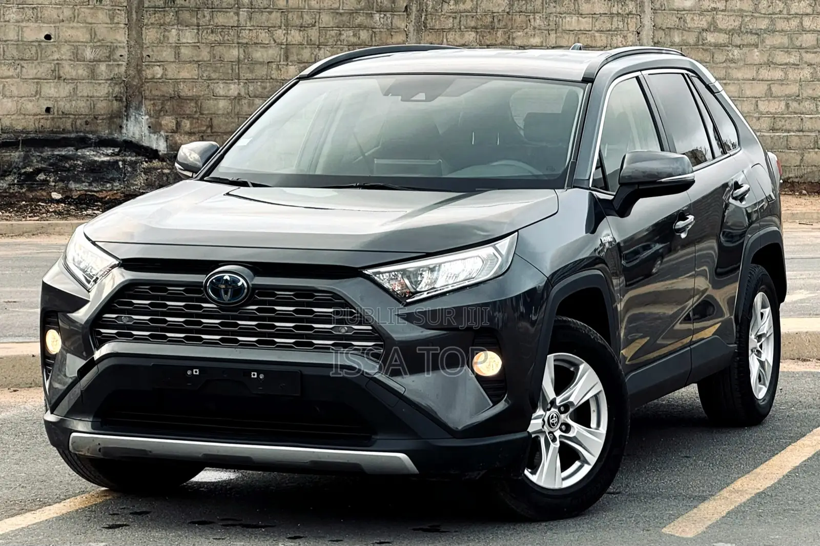 Toyota RAV4 Hybrid 2022 Gris