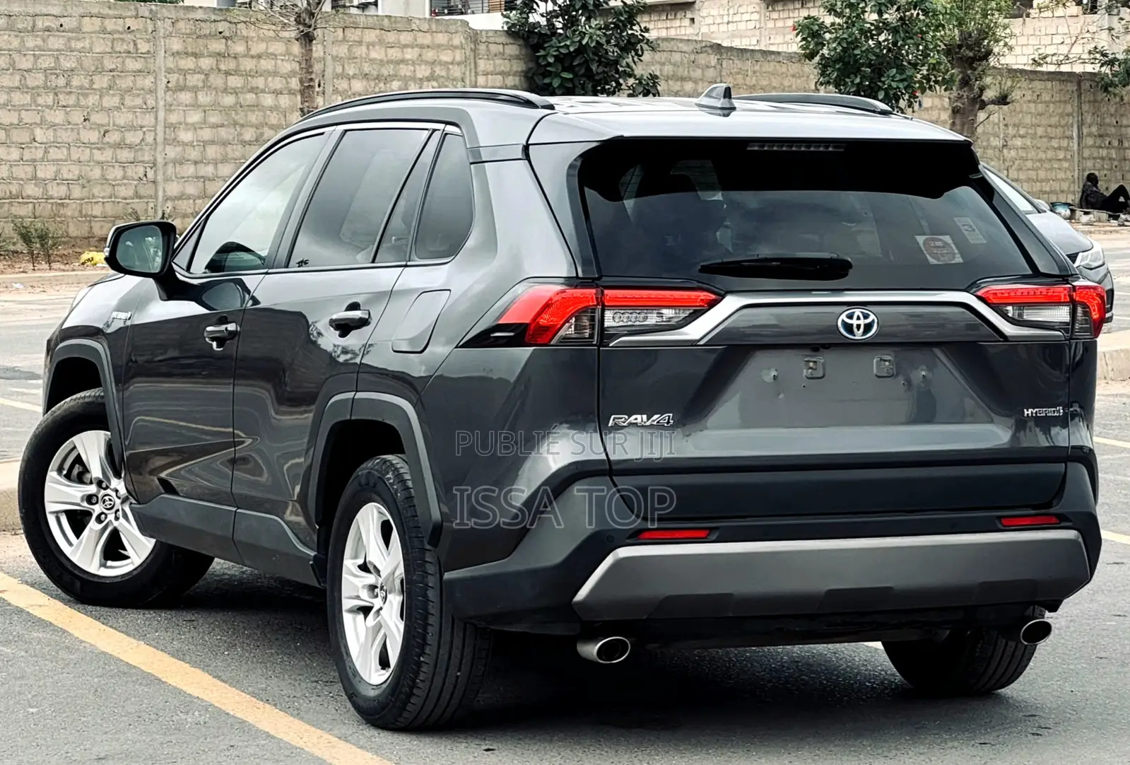 Toyota RAV4 Hybrid 2022 Gris