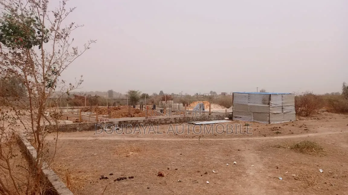 Ndiorokh Zone Mbeur